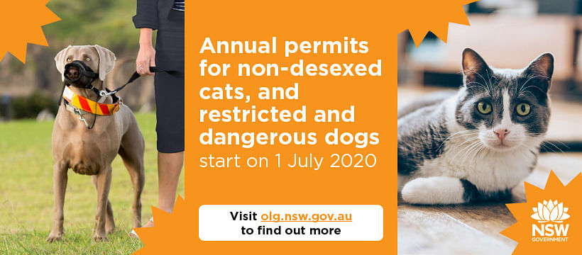 Annual permits for non-desexed cates, and restricted and ngerous dogs start on 1 July 2020.