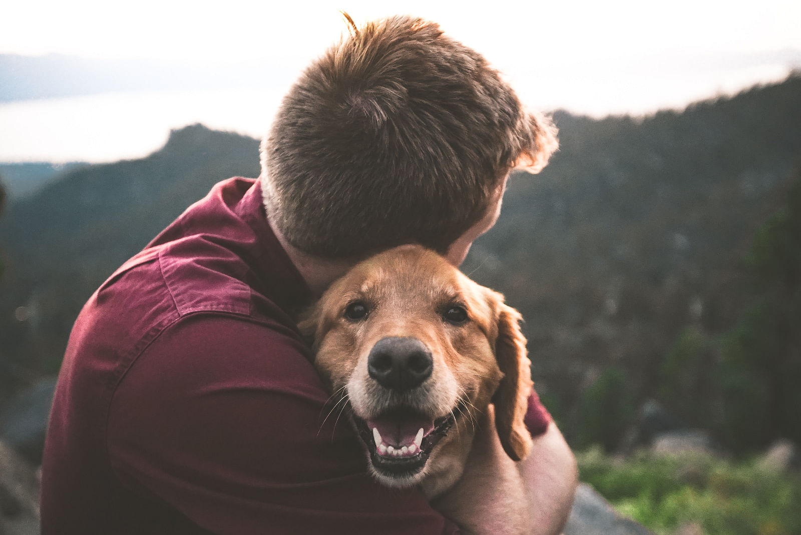 Owner responsibilities
