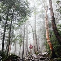 Environment & Health