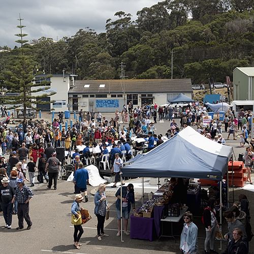 Whale Festival Eden.