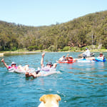 Access to information (GIPA)