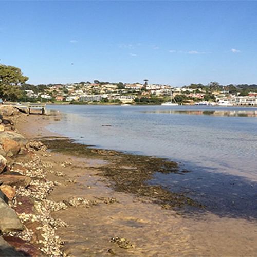Merimbula and Back Lake Flood Study