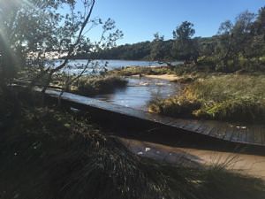 Wallaga Lake Boardwalk, after the storm