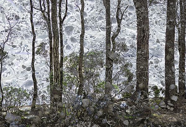 Fresh Salt, Peter cotton's Midden, Wallaga Lake.