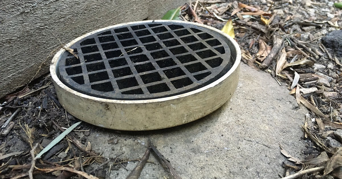 A gully trap - a round plastic grille protruding from the ground