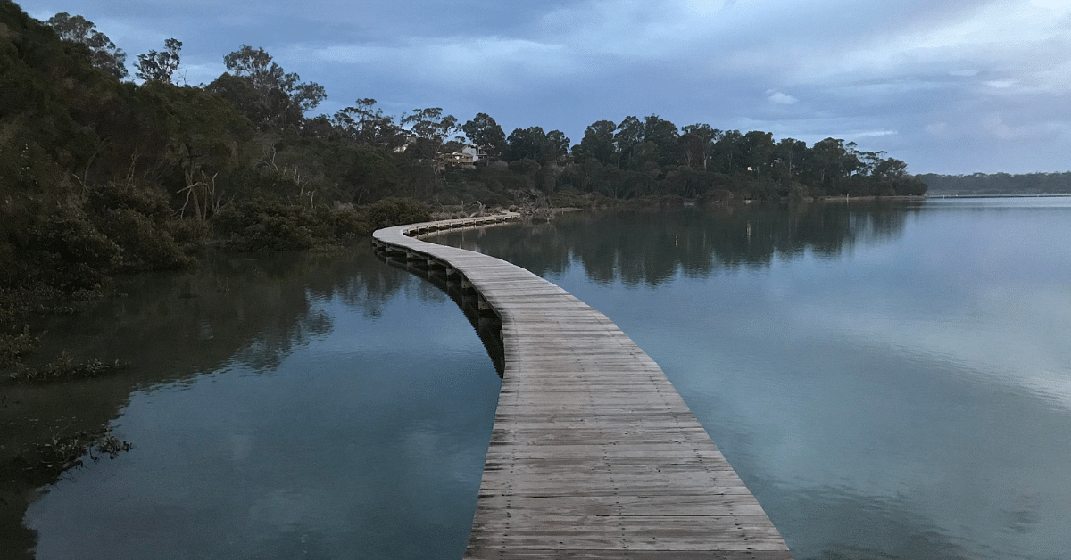 The existing Merimbula Boardwalk. 