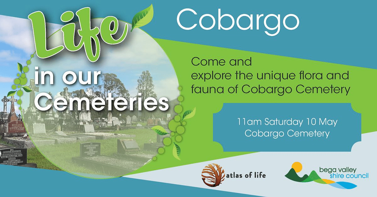 life in our cemeteries poster.