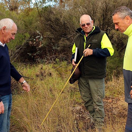 David Boag (Bega Saleyards lessee), Greg Madden (Council’s Vegetation Management Officer) and Kevin Dibley (contractor) discuss the African Lovegrass weed spraying program at the Bega Saleyards.