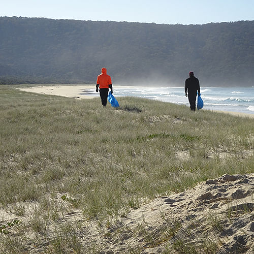 A sweep in progress at Wonboy.  Image credit: Chris Post, FSC Landcare.