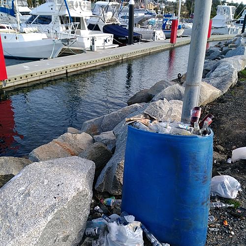 Rangers responded quickly recognising the risk to Bermagui’s famous water ways.