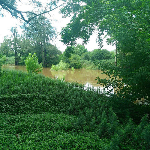 Bega River after heavy rainfall