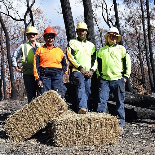 The local Koori Work Crew is playing a vital role in the stabilisation of natural areas around Tathra.