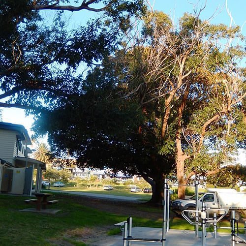 Trees overhanging the outdoor gym in Bermagui.