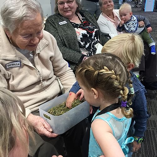 Photograph: Seniors and pre-schoolers at play at the Tura Marrang Library Intergenerational Playroom.