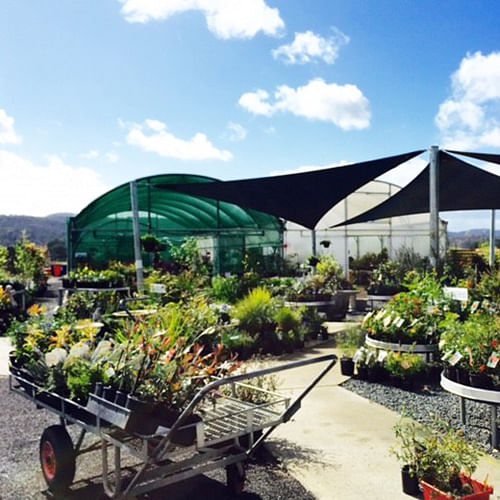 Riverside Nursery and Garden Centre.