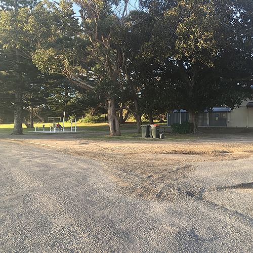 The two Mahogany trees adjacent to the Bermagui Surf Club will be the subject of pruning work and retained following a recent community consultation session.