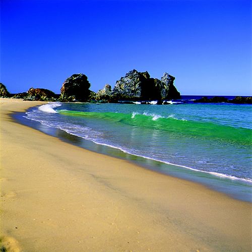 Bermagui's Camel Rock, one of eight local beachs that will be patrolled by professional lifeguards over summer.