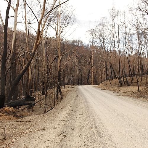 The NSW State Coroner is conducting a series of coronial inquests and inquiries relating to the 2019 20 NSW bushfire season. 