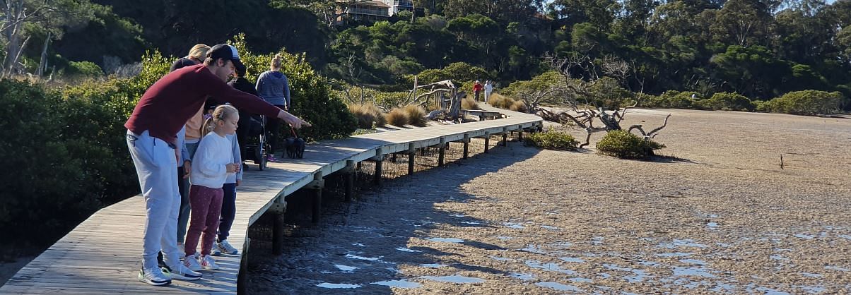 The Merimbula boardwalk is popular with visitors and locals, providing access to recreational and environmental activities.