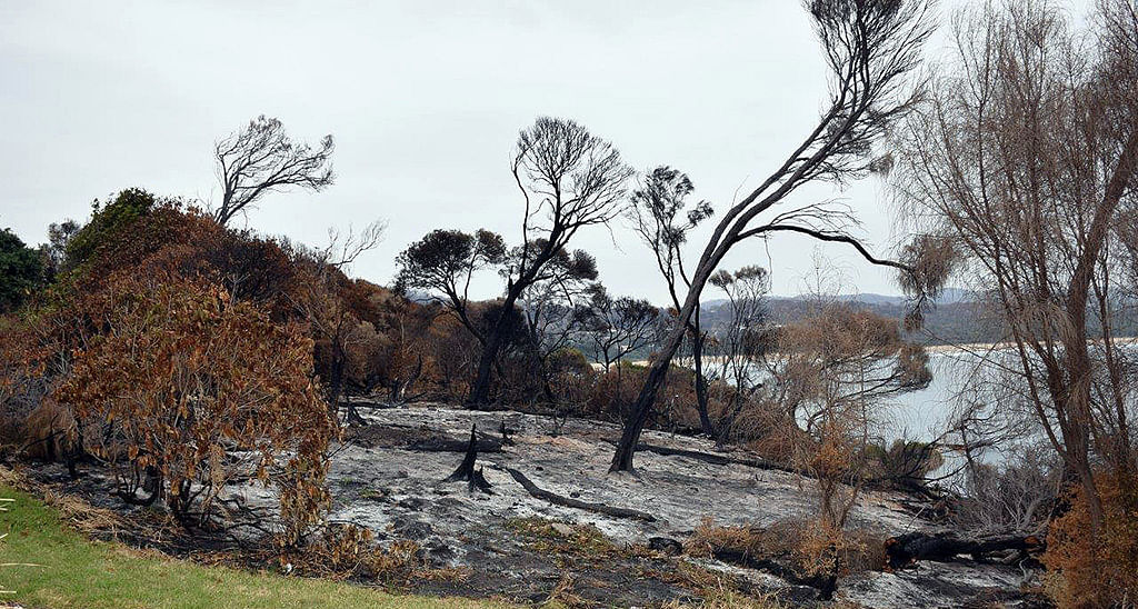 Tathra headland bushfire debris.