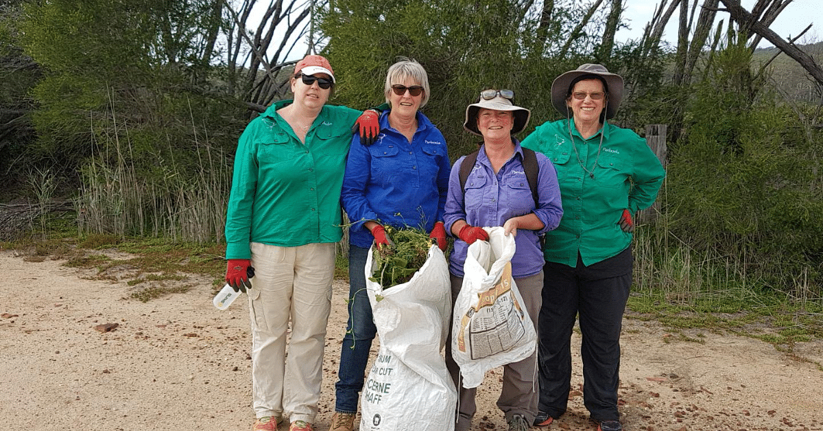 Reducing the impact of weeds on Panboola's environment by Pambula Weltands and Heritage Project with 2021-22 grant funding.