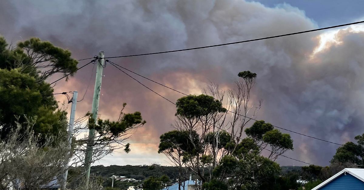 The Coolagolite bushfire as seen from Bermagui - a large plume of smoke rising above some houses