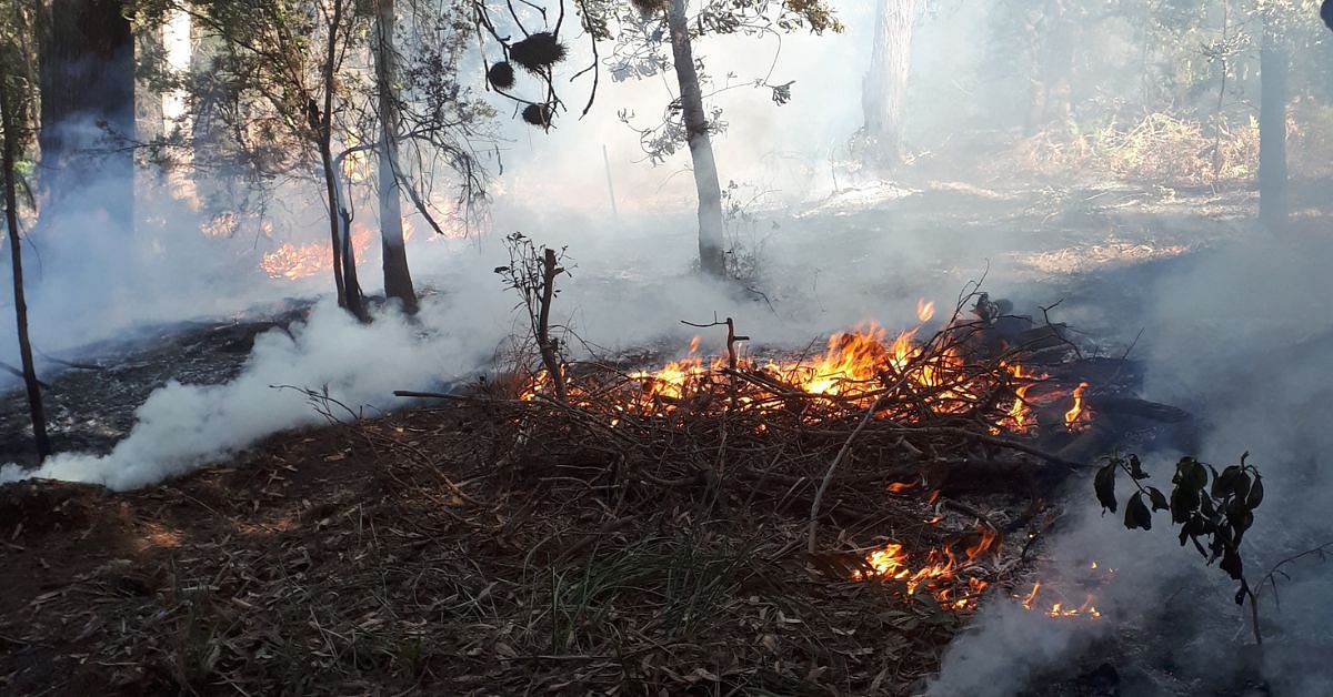 A cultural burn in progress at the Tura Beach Flora Reserve. Small flames and smoke blowing through native Australian bush.