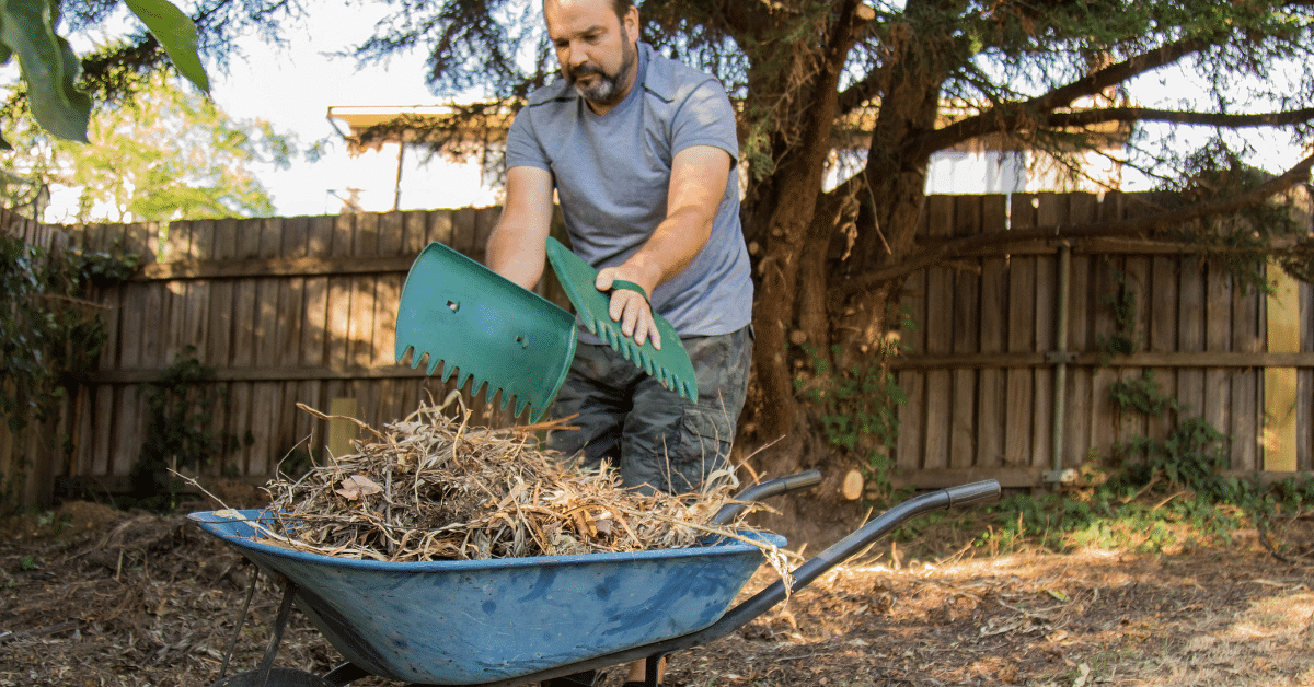 A man in a garden placing garden waste into his wheelbarrow