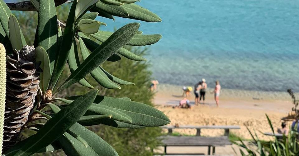 Photo by Iain Dawson: Bar Beach, Merimbula, autumn 2019