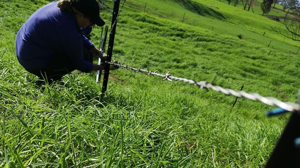 Blazeaid volunteer fixing a fence.