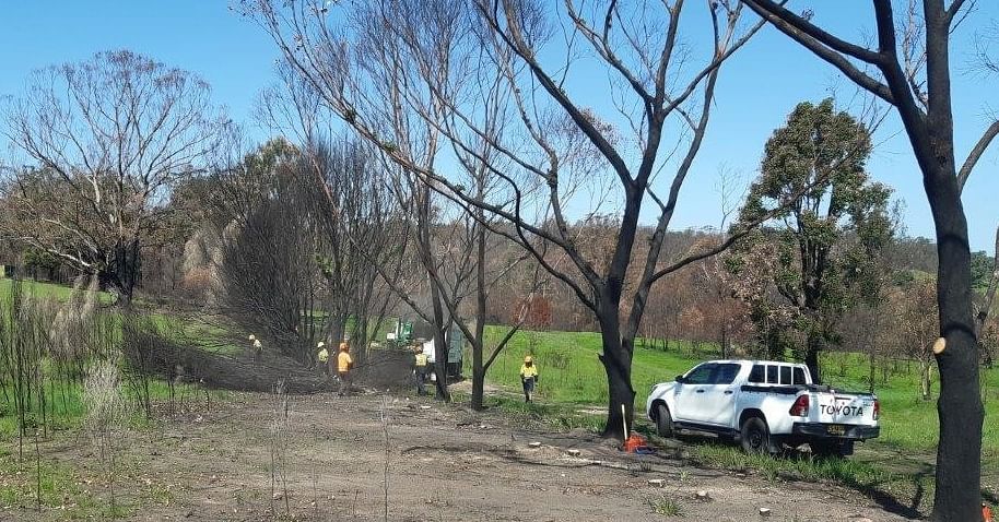 Works clearing damaged vegetation at the Cobargo Cemetary.