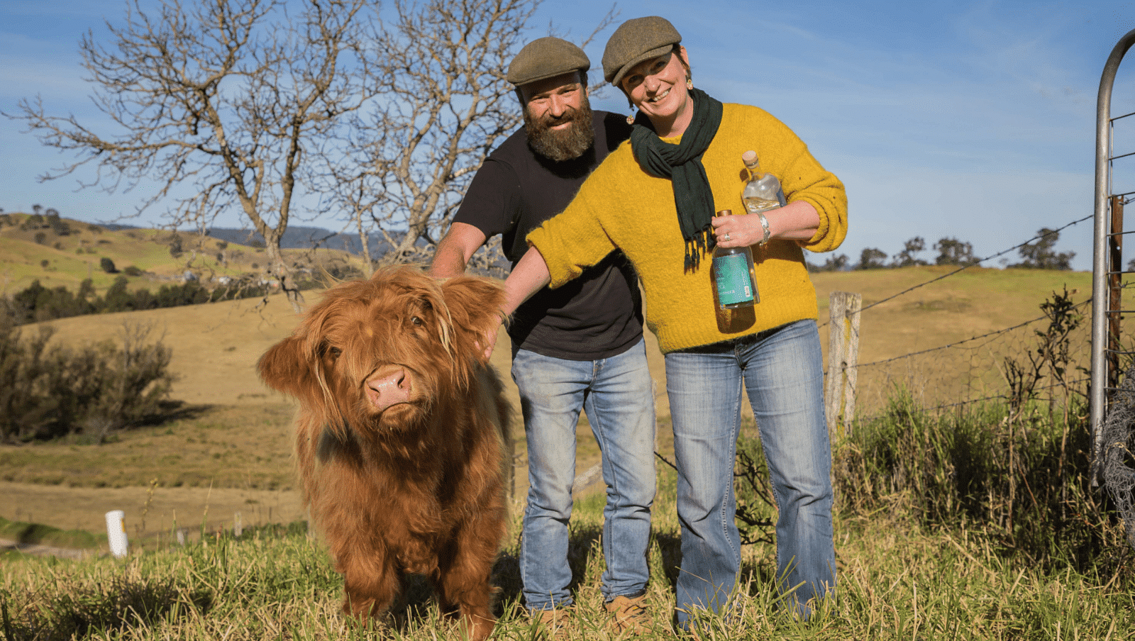 North of Eden gin distillery owners Gavin Hughes and Karen Touchie with their furry highland cow Flora.