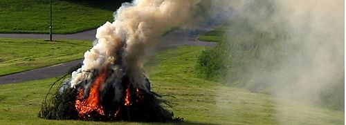 A pile of vegetation being burnt.