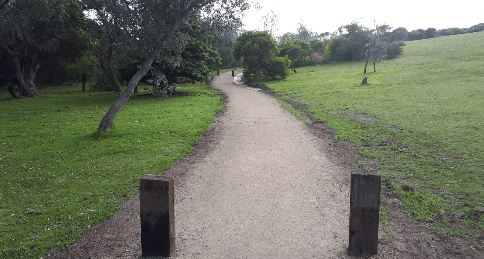 The Point walking track.
