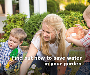 Click the image for all sorts of information and ideas to help you save water in your garden.