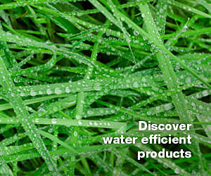 Click to discover water efficient products.