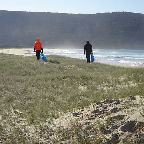 Coastal weed removal in the Bega Valley Shire.