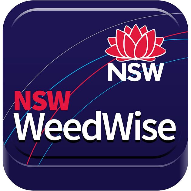 Logo WeedWise app.